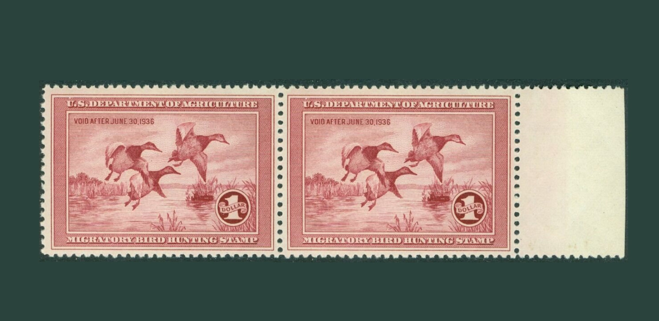 Rare US Stamps | Hunting Permit 1935